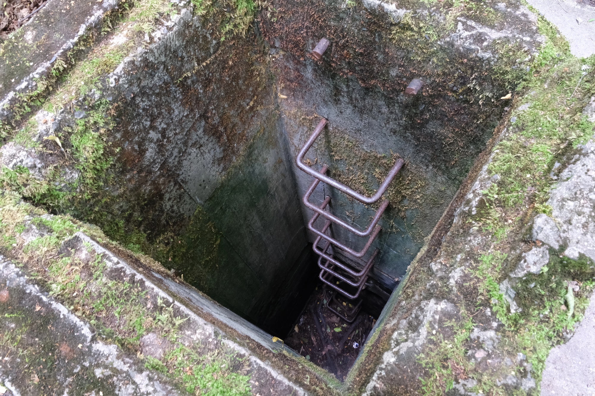 Photo of a square concrete pit with ladder rungs protruding from the wall